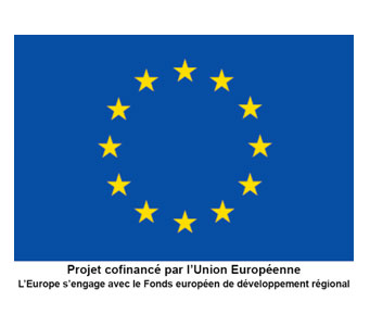 APPELS À PROJETS EUROPEENS : AAPG 2021 – Axe 2.3 Polymères, composites, physique et chimie de la matière molle, procédés