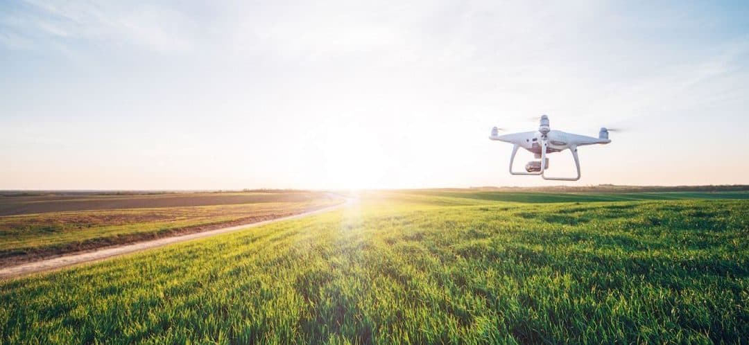 DRONES : L’INTELLIGENCE PRÉDICTIVE AU SERVICE DE LA TERRE