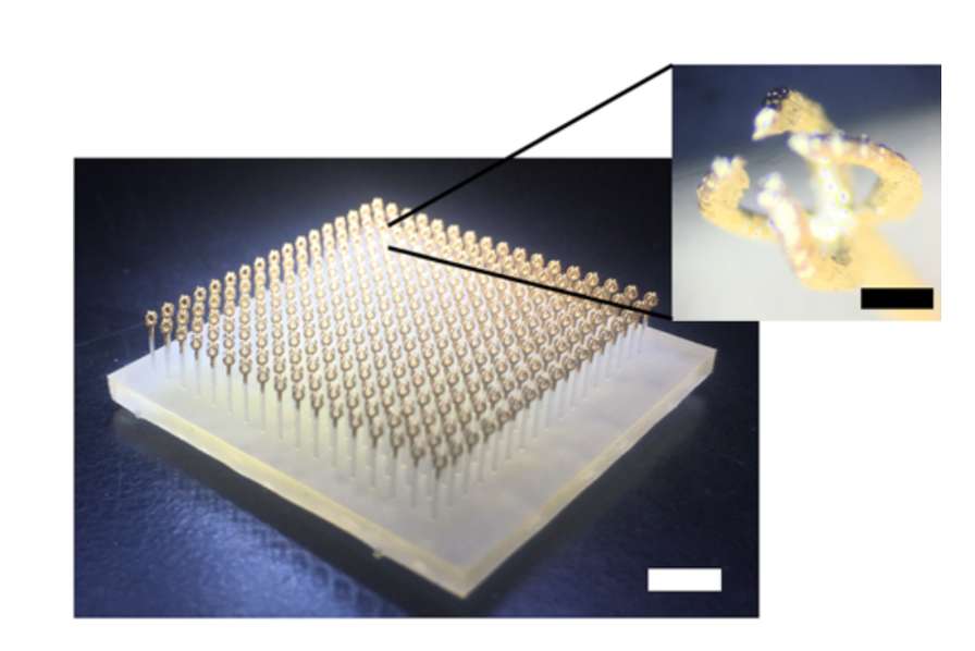 L’impression 3D décuple les possibilités des métamatériaux – Impression 3D