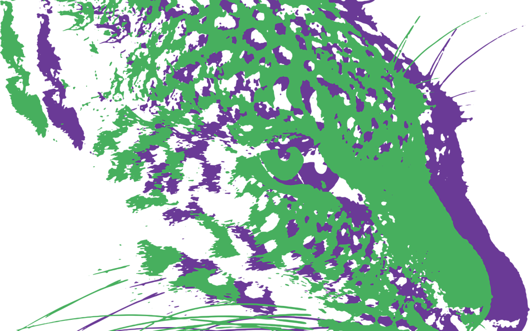 [Trophées de l&rsquo;économie] – Ouverture des candidatures : Kit Filières partenaires