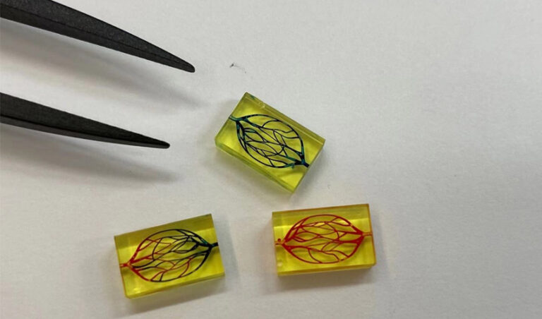 Application médicale du mois : à la découverte de la micro impression 3D