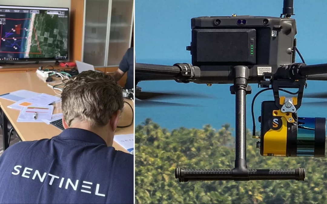 Surveillance et Innovation : Sentinel, leader de l’imagerie aérienne par drone en Guyane et dans la Caraïbe
