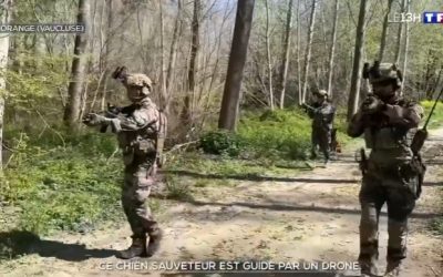 Ce chien sauveteur est guidé par un drone