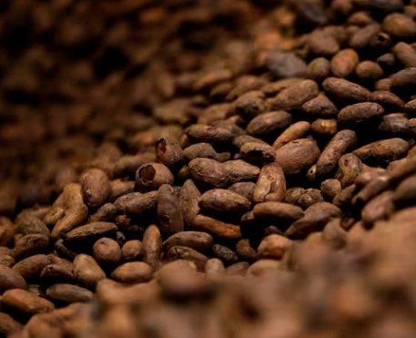 Chocolat, maïs, riz, blé, café… Le changement climatique menace la sécurité des importations alimentaires de l&rsquo;Union européenne, selon une étude