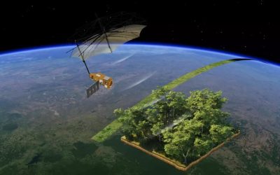 Un radar inédit pour mesurer la biomasse tropicale